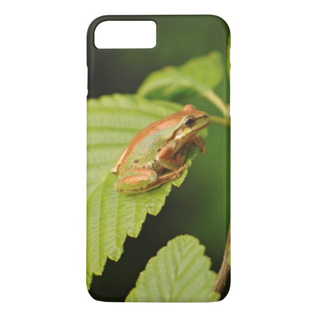 USA, Washington, Seattle, Discovery Park Case-Mate iPhone Skal (Baksida)
