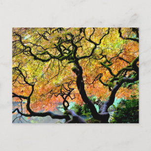 USA, Washington, Seattle, Kubota Garden. Vykort
