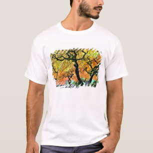 USA, Washington, Seattle, Kubota trädgård. Tee