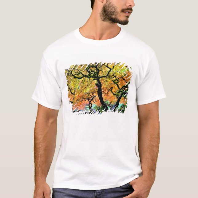 USA, Washington, Seattle, Kubota trädgård. Tee (Framsida)