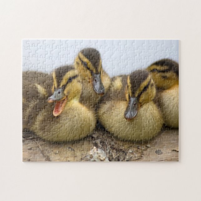 USA, Washington, Seattle, Lake Washington Pussel (Horisontell)