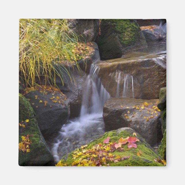 USA, Washington, Seattle Magnet (Framsidan)