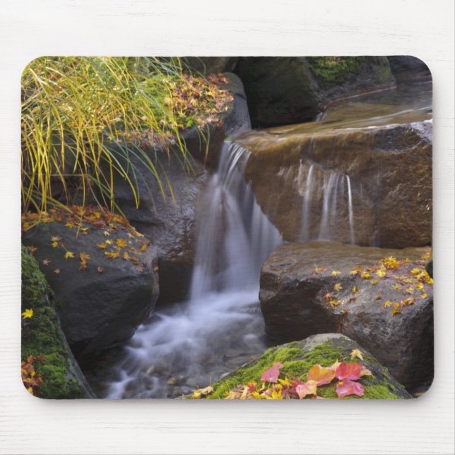 USA, Washington, Seattle Musmatta (Framsidan)