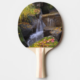 USA, Washington, Seattle Pingisracket