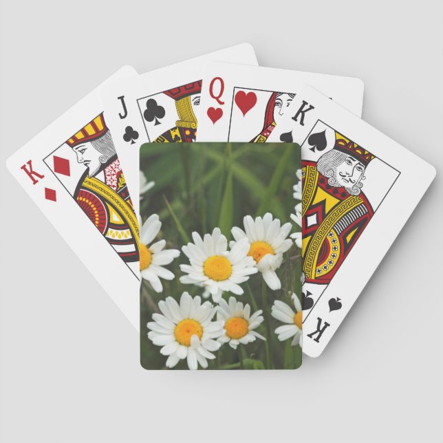 USA, Washington, Seattle, Puget Ljud 3 Spel Kort (Baksidan)