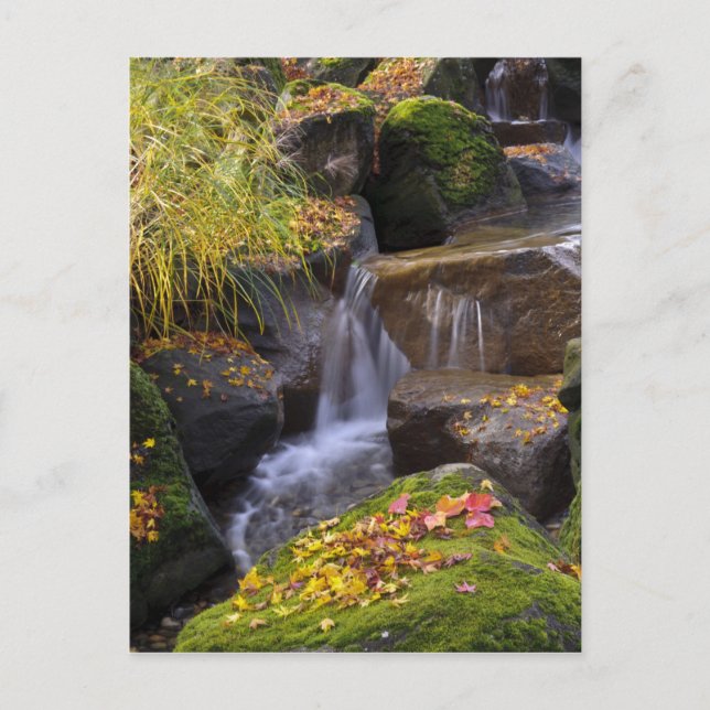 USA, Washington, Seattle Vykort (Framsida)