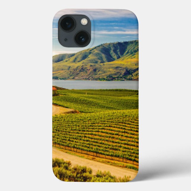 USA, Washington, Sjö Chelan. Bensonvinodlingar (Baksida)
