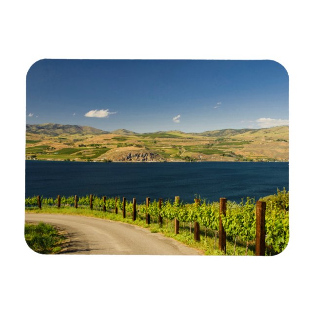 USA, Washington, Sjö Chelan. Vineyard Magnet (Horisontell)