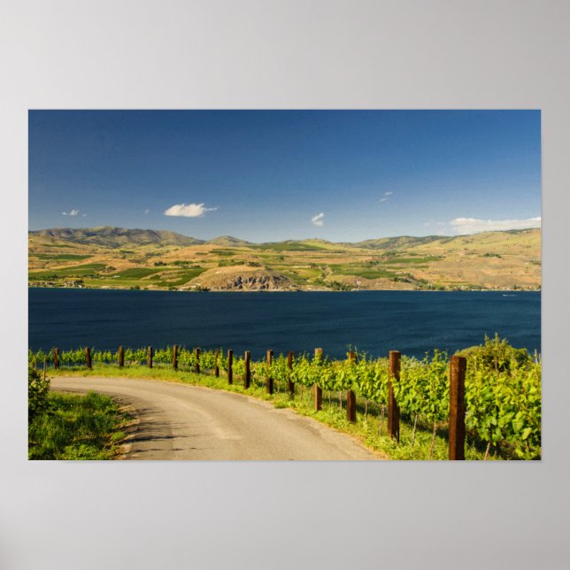 USA, Washington, Sjö Chelan. Vineyard Poster (Framsidan)