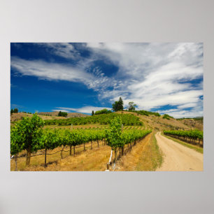 USA, Washington, Sjö Chelan. Vinodling 3 Poster