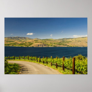 USA, Washington, Sjö Chelan. Vinodling Poster