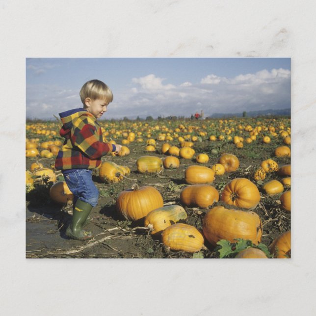 USA, Washington, Snohomish. Liten pojke Vykort (Framsida)