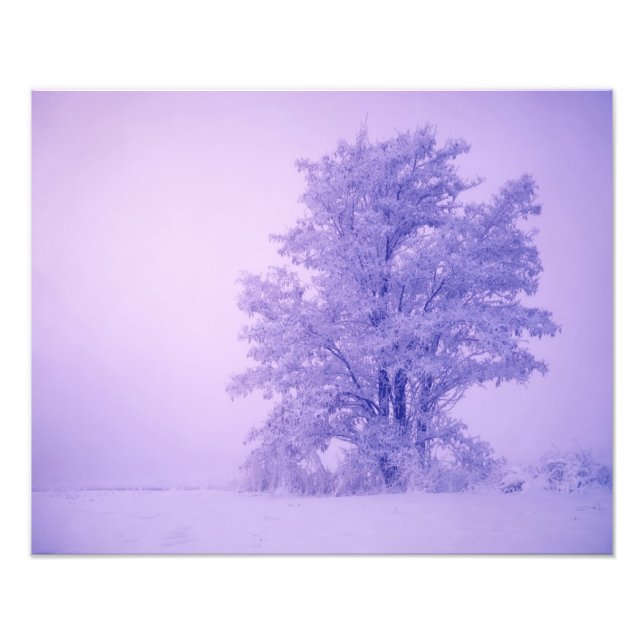 USA, Washington, Spokane County, Frostad Fototryck (Framsidan)