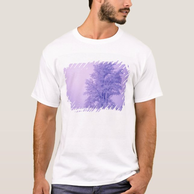 USA, Washington, Spokane County, Frostad Tee (Framsida)