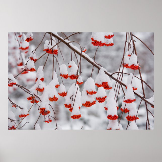 USA, Washington, Spokane County Poster (Framsidan)