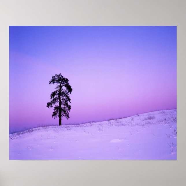 USA, Washington, Spokane County, Riverside Poster (Framsidan)