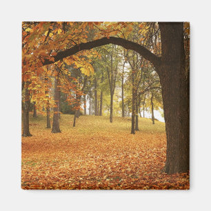 USA, Washington, Spokane, Manito Park, Höst 2 Magnet