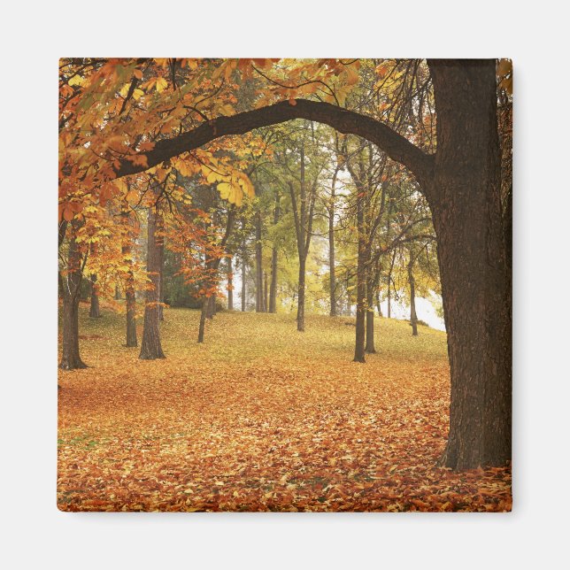 USA, Washington, Spokane, Manito Park, Höst 2 Magnet (Framsidan)