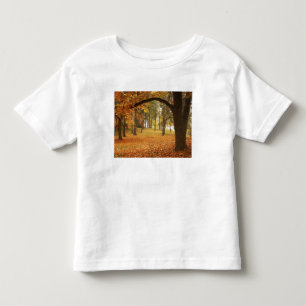 USA, Washington, Spokane, Manito Park, Höst 2 T-shirt