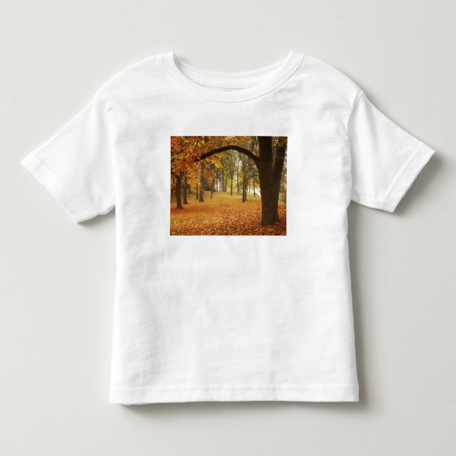 USA, Washington, Spokane, Manito Park, Höst 2 T-shirt (Framsida)