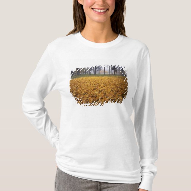 USA, Washington, Spokane, Manito Park, Höst T-shirt (Framsida)