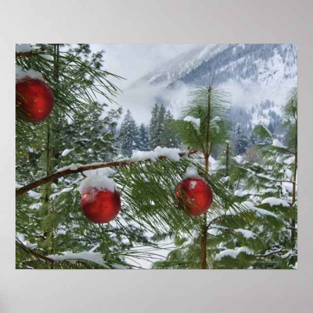 USA, Washington State, Chelan County Poster (Framsidan)