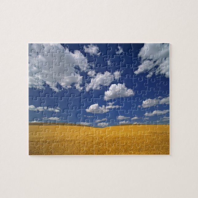 USA, Washington State, Colfax. Moget korn möter Pussel (Horisontell)