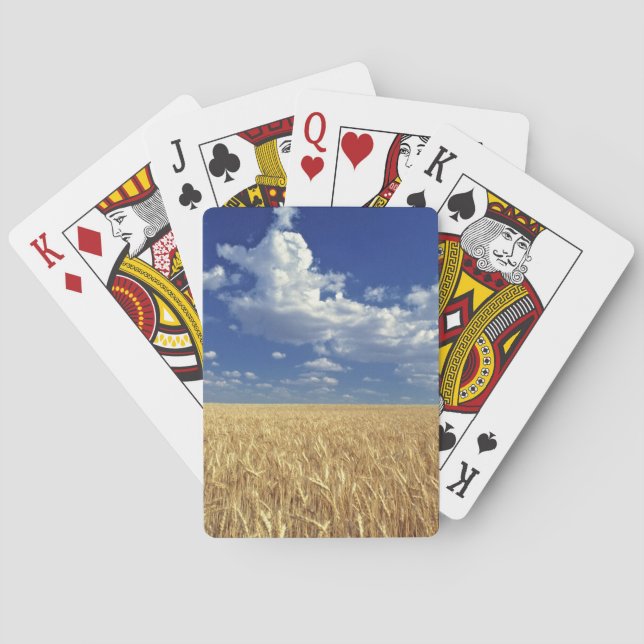 USA, Washington State, Colfax. Moget vete Spel Kort (Baksidan)