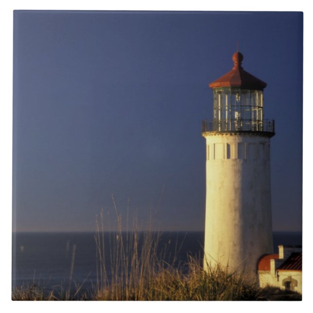 USA, Washington State, Fort Canby State Park. Kakelplatta (Framsidan)