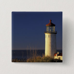USA, Washington State, Fort Canby State Park. Knapp