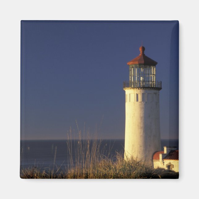 USA, Washington State, Fort Canby State Park. Magnet (Framsidan)