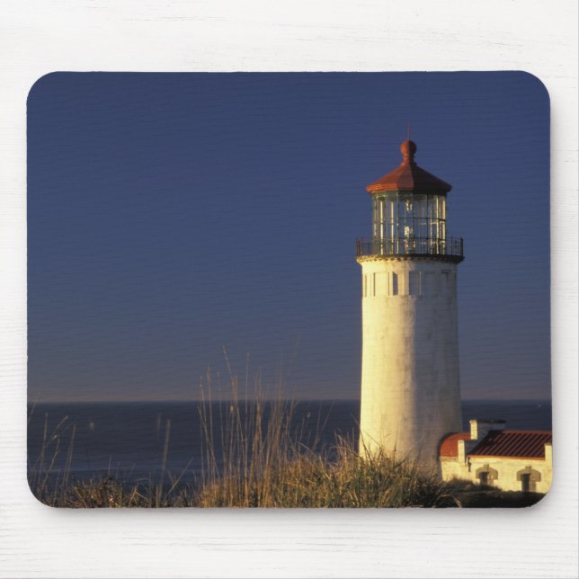 USA, Washington State, Fort Canby State Park. Musmatta (Framsidan)