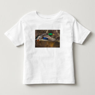 USA, Washington State, Mallard, hane, flyg. T Shirt