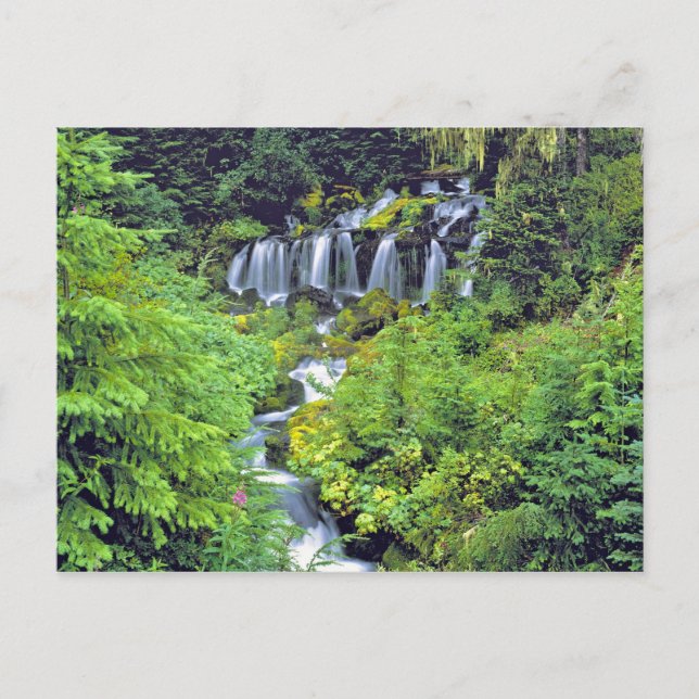 USA, Washington State, Mt Adams Wilderness. Twin Vykort (Framsida)