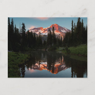 USA, Washington State. Mt. Rainier speglad Vykort