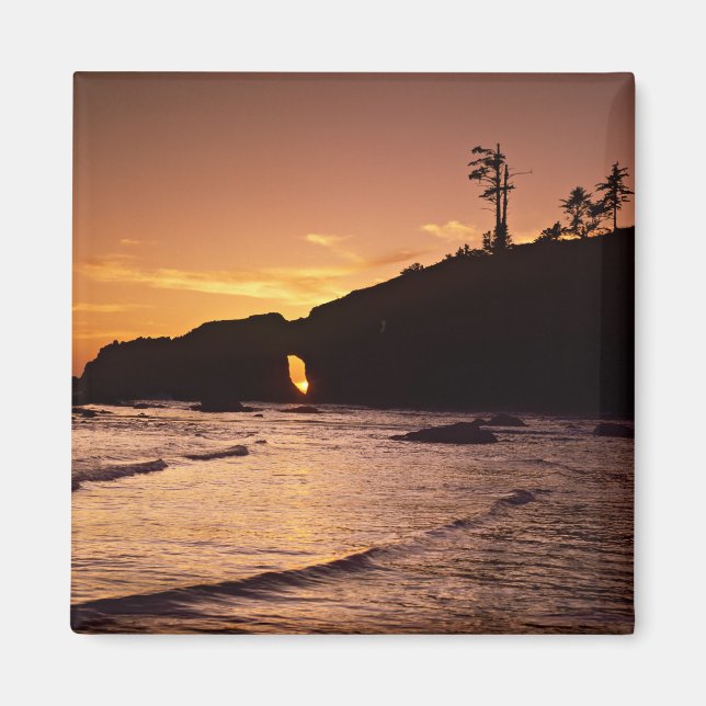 USA, Washington State, Olympic National Park. 2 Magnet (Framsidan)