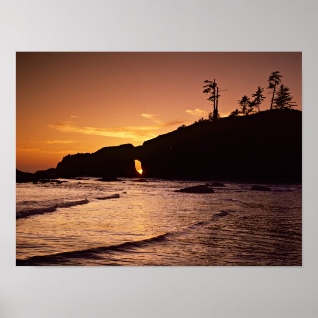 USA, Washington State, Olympic National Park. 2 Poster (Framsidan)