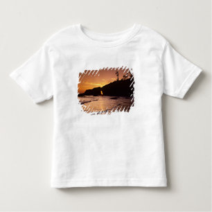 USA, Washington State, Olympic National Park. 2 T Shirt