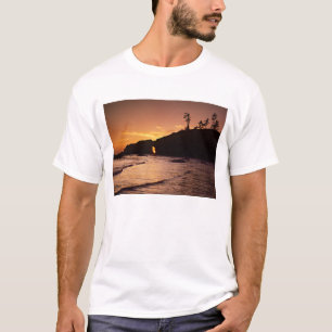 USA, Washington State, Olympic National Park. 2 Tee