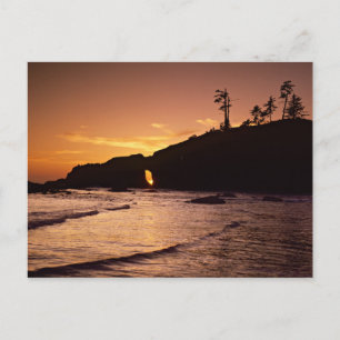 USA, Washington State, Olympic National Park. 2 Vykort