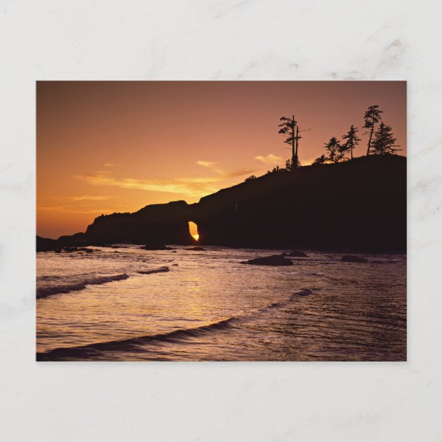 USA, Washington State, Olympic National Park. 2 Vykort (Framsida)