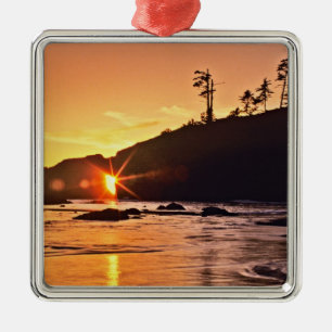 USA, Washington State, Olympic National Park. 3 Julgransprydnad Metall