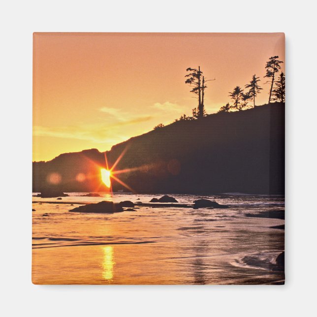 USA, Washington State, Olympic National Park. 3 Magnet (Framsidan)