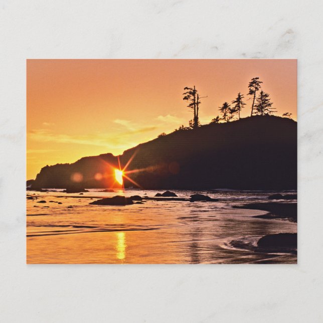 USA, Washington State, Olympic National Park. 3 Vykort (Framsida)