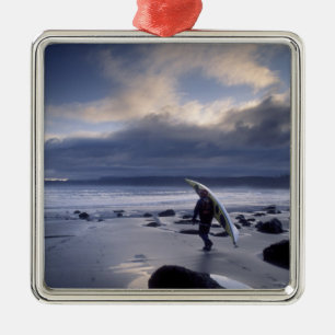 USA, Washington State, Olympic National Park. Julgransprydnad Metall