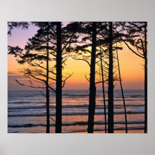 USA, Washington State, Olympic NP. känslig Poster