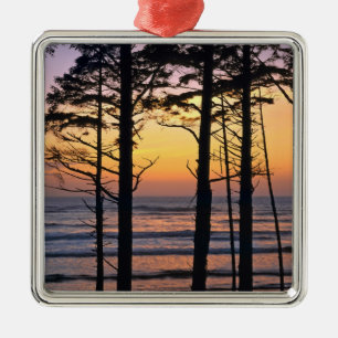 USA, Washington State, Olympic NP. Ömtålig Julgransprydnad Metall