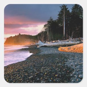 USA, Washington State, Olympic NP. Vågor sköljer m Fyrkantigt Klistermärke