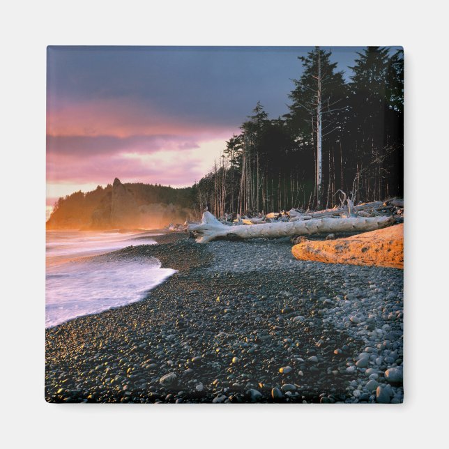 USA, Washington State, Olympic NP. Vågor sköljer m Magnet (Framsidan)