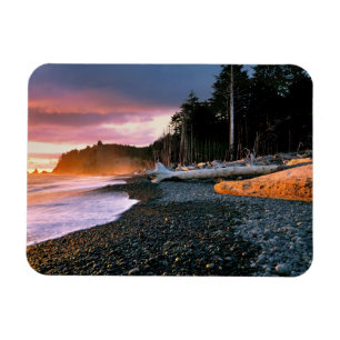 USA, Washington State, Olympic NP. Vågor sköljer m Magnet